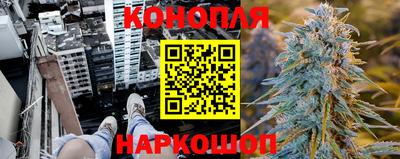 крисы Краснокаменск
