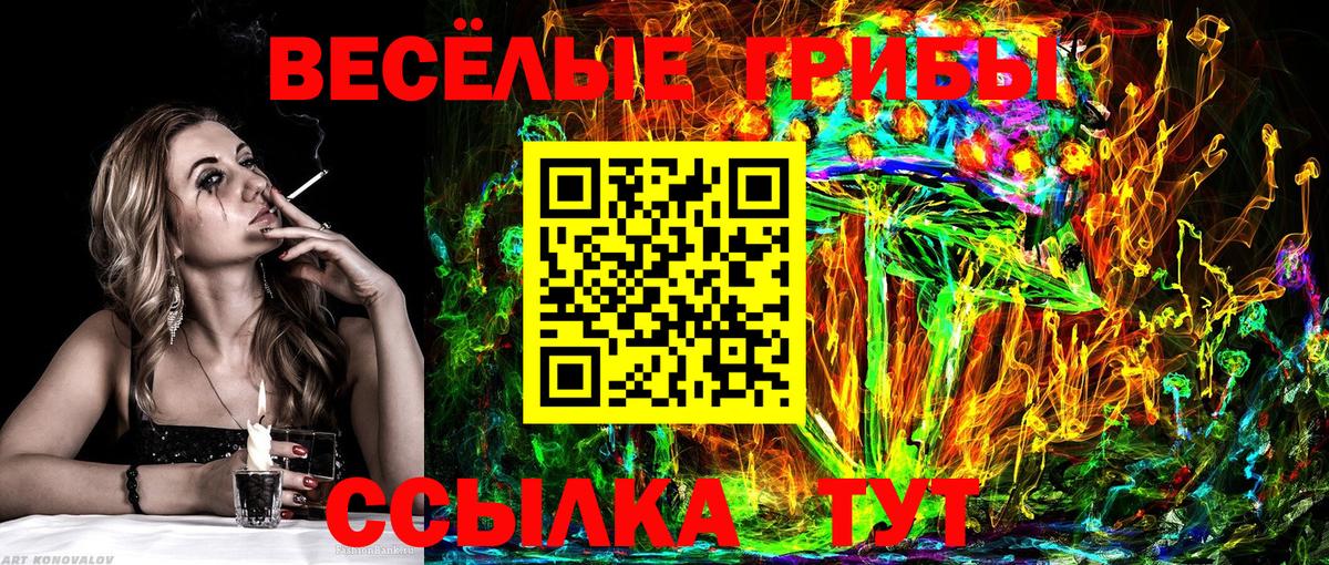 Галлюциногенные грибы MAGIC MUSHROOMS  Вход с VPN  Калуга 