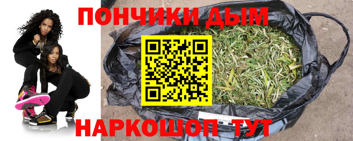 Конопля конопля Калуга